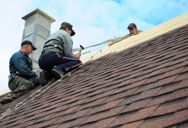 Best Tile Roofing Contractor  in Cannelton, IN